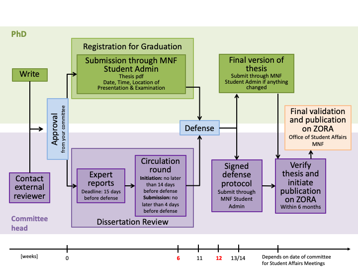 PhD Flow Chart